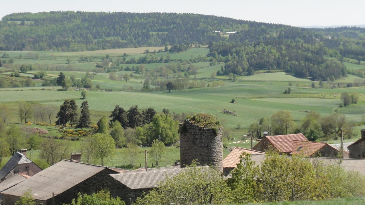 Вилла Gite Les Ducs Mialanes Экстерьер фото